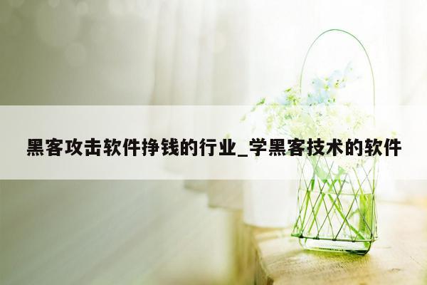 黑客攻击软件挣钱的行业_学黑客技术的软件