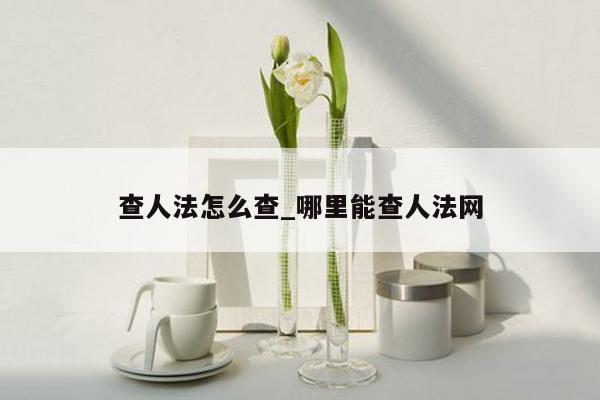 查人法怎么查_哪里能查人法网