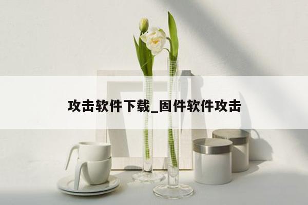 攻击软件下载_固件软件攻击