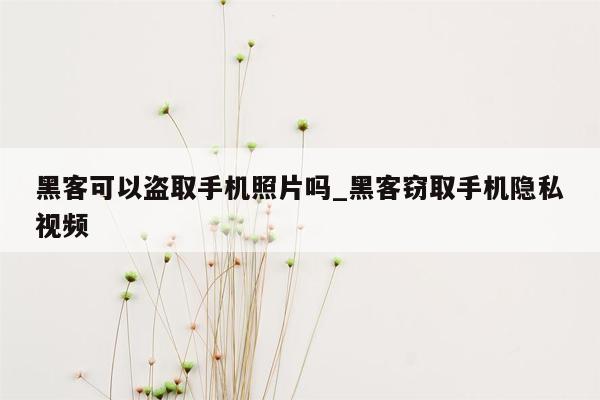 黑客可以盗取手机照片吗_黑客窃取手机隐私视频