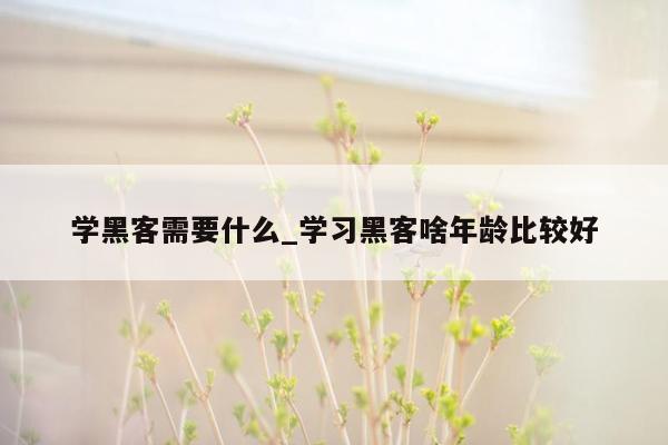 学黑客需要什么_学习黑客啥年龄比较好