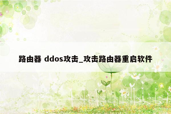 路由器 ddos攻击_攻击路由器重启软件