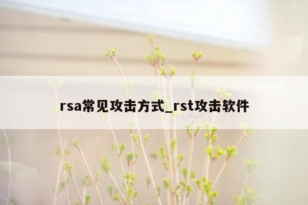 rsa常见攻击方式_rst攻击软件