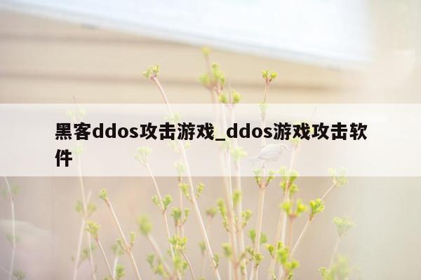 黑客ddos攻击游戏_ddos游戏攻击软件