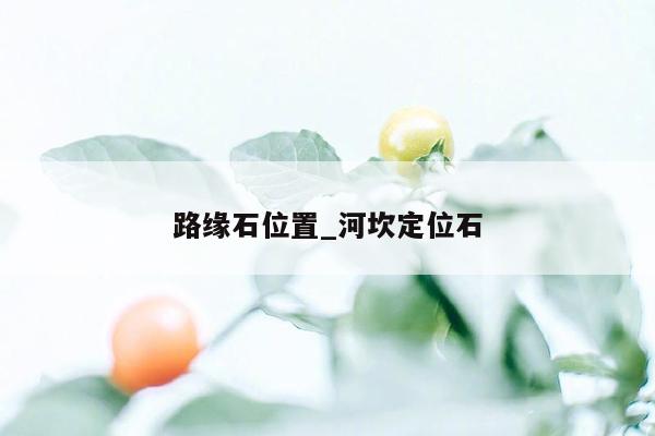 路缘石位置_河坎定位石