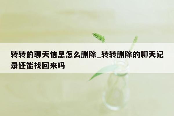 转转的聊天信息怎么删除_转转删除的聊天记录还能找回来吗