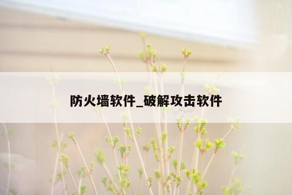 防火墙软件_破解攻击软件