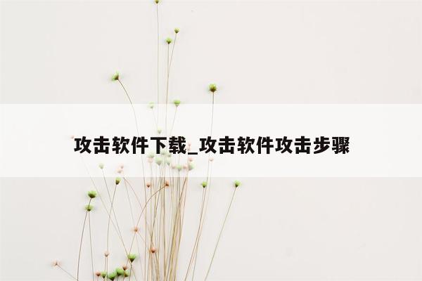 攻击软件下载_攻击软件攻击步骤