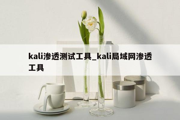 kali渗透测试工具_kali局域网渗透工具