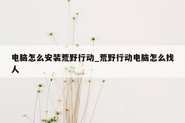 电脑怎么安装荒野行动_荒野行动电脑怎么找人