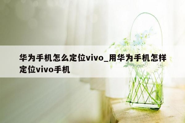 华为手机怎么定位vivo_用华为手机怎样定位vivo手机