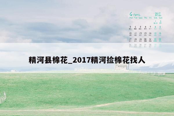 精河县棉花_2017精河捡棉花找人