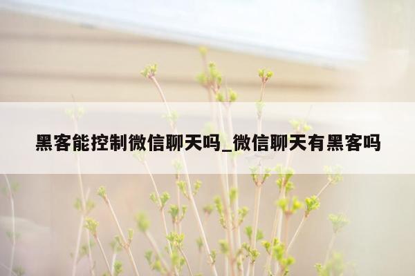 黑客能控制微信聊天吗_微信聊天有黑客吗