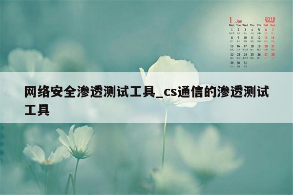 网络安全渗透测试工具_cs通信的渗透测试工具