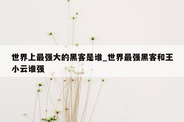 世界上最强大的黑客是谁_世界最强黑客和王小云谁强