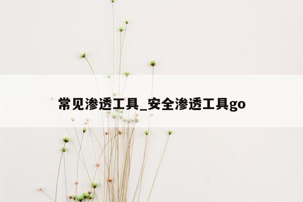 常见渗透工具_安全渗透工具go