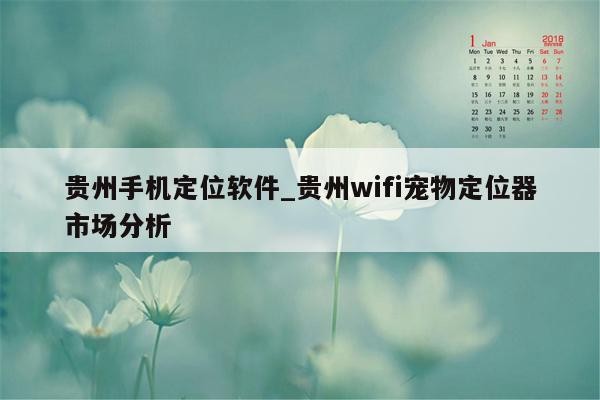 贵州手机定位软件_贵州wifi宠物定位器市场分析