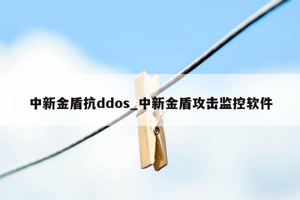 中新金盾抗ddos_中新金盾攻击监控软件