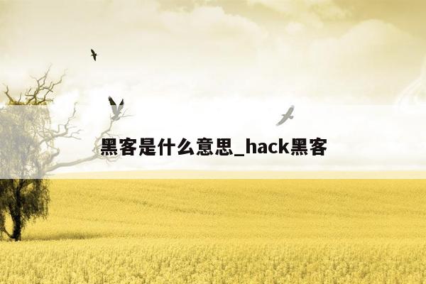 黑客是什么意思_hack黑客