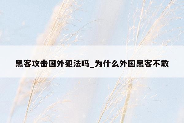 黑客攻击国外犯法吗_为什么外国黑客不敢