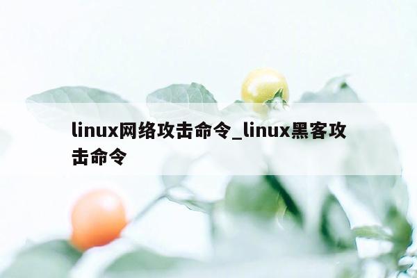 linux网络攻击命令_linux黑客攻击命令