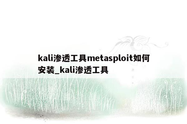 kali渗透工具metasploit如何安装_kali渗透工具