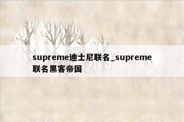 supreme迪士尼联名_supreme联名黑客帝国