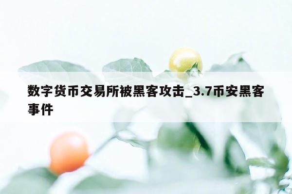 数字货币交易所被黑客攻击_3.7币安黑客事件