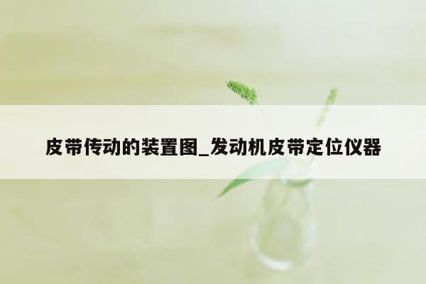 皮带传动的装置图_发动机皮带定位仪器