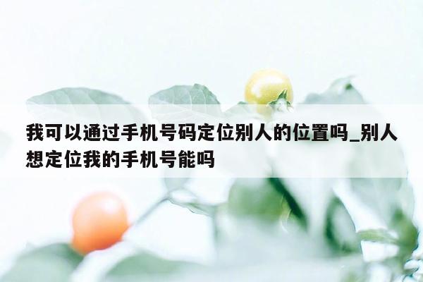 我可以通过手机号码定位别人的位置吗_别人想定位我的手机号能吗