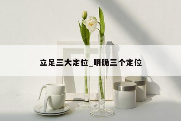 立足三大定位_明确三个定位