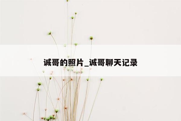 诚哥的照片_诚哥聊天记录