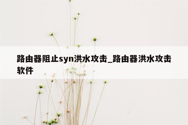 路由器阻止syn洪水攻击_路由器洪水攻击软件