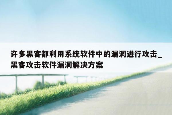 许多黑客都利用系统软件中的漏洞进行攻击_黑客攻击软件漏洞解决方案