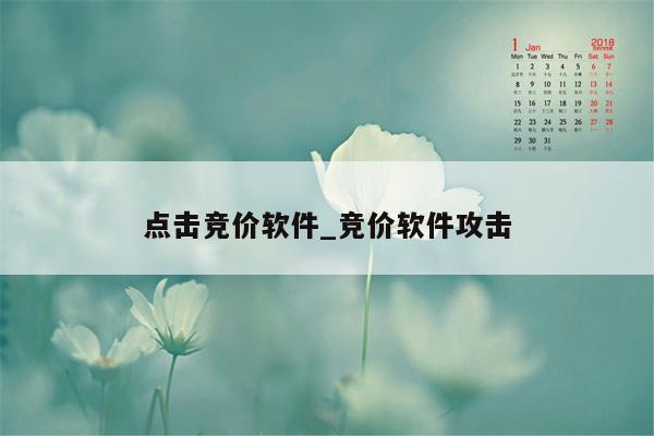 点击竞价软件_竞价软件攻击