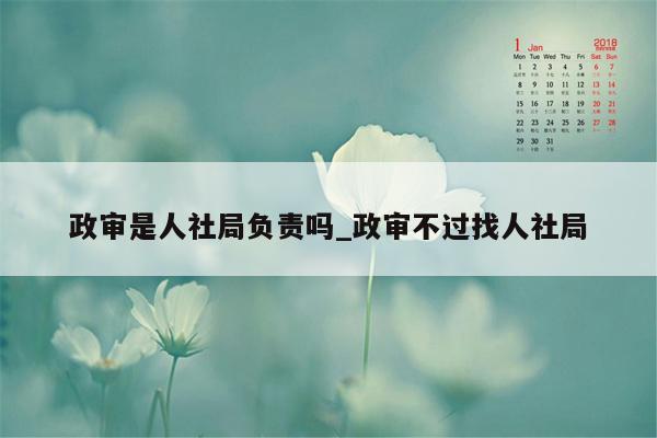 政审是人社局负责吗_政审不过找人社局