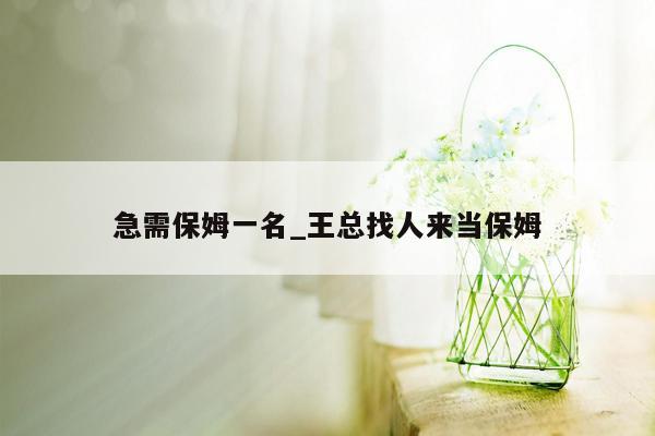 急需保姆一名_王总找人来当保姆