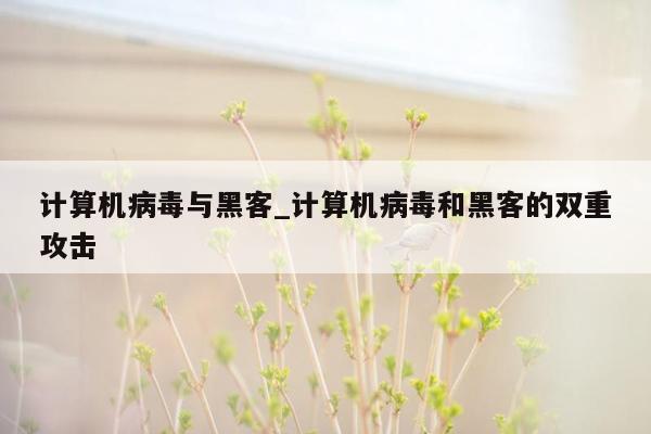 计算机病毒与黑客_计算机病毒和黑客的双重攻击