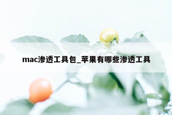 mac渗透工具包_苹果有哪些渗透工具