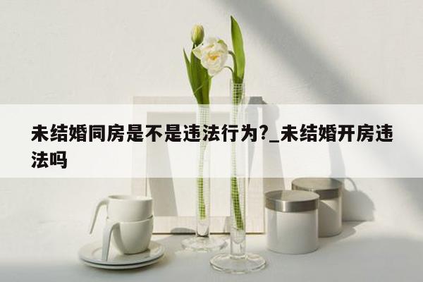 未结婚同房是不是违法行为?_未结婚开房违法吗