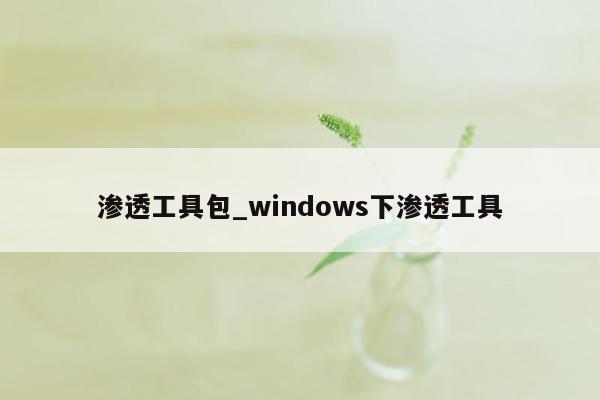 渗透工具包_windows下渗透工具