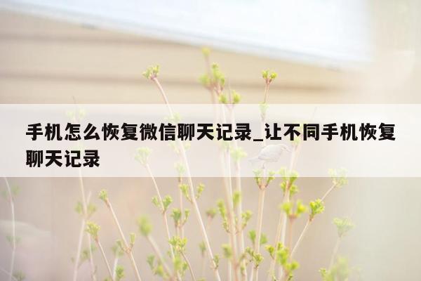 手机怎么恢复微信聊天记录_让不同手机恢复聊天记录