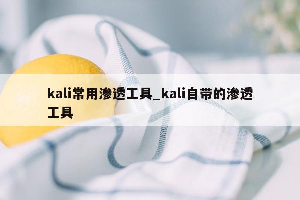 kali常用渗透工具_kali自带的渗透工具