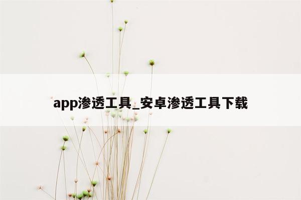 app渗透工具_安卓渗透工具下载