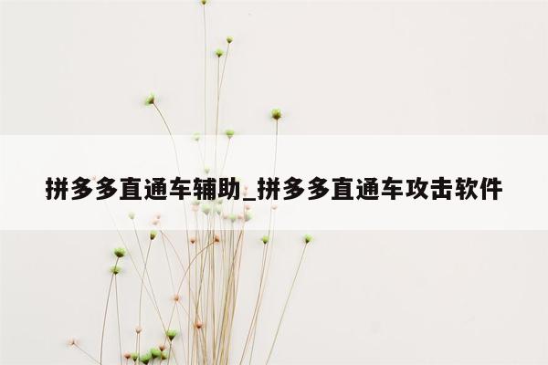 拼多多直通车辅助_拼多多直通车攻击软件