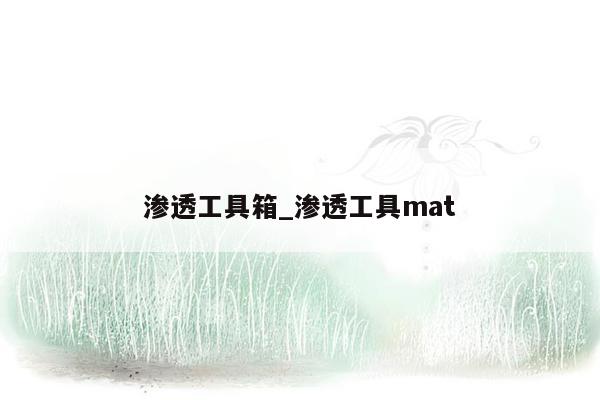 渗透工具箱_渗透工具mat