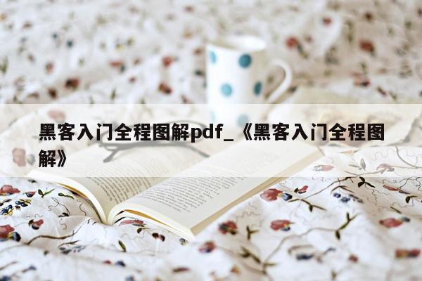 黑客入门全程图解pdf_《黑客入门全程图解》