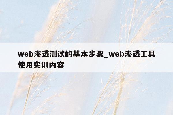 web渗透测试的基本步骤_web渗透工具使用实训内容