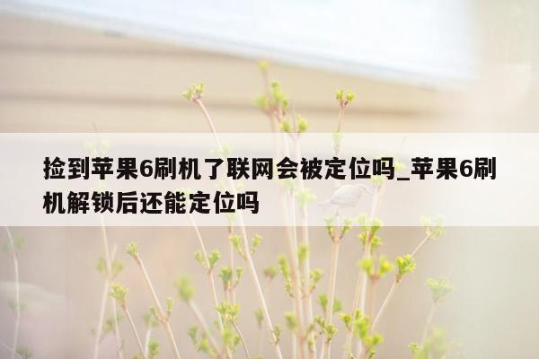 捡到苹果6刷机了联网会被定位吗_苹果6刷机解锁后还能定位吗