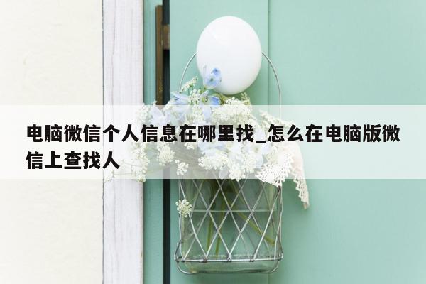 电脑微信个人信息在哪里找_怎么在电脑版微信上查找人